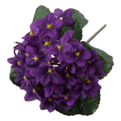 Violeta de Parma 21 CM