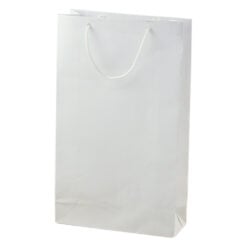 Punga cadou din hartie laminata 17x28 CM