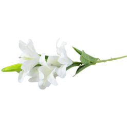 Floare artificiala - Crin - 85 CM