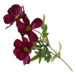 Floare artificiala - Cosmos 50 CM