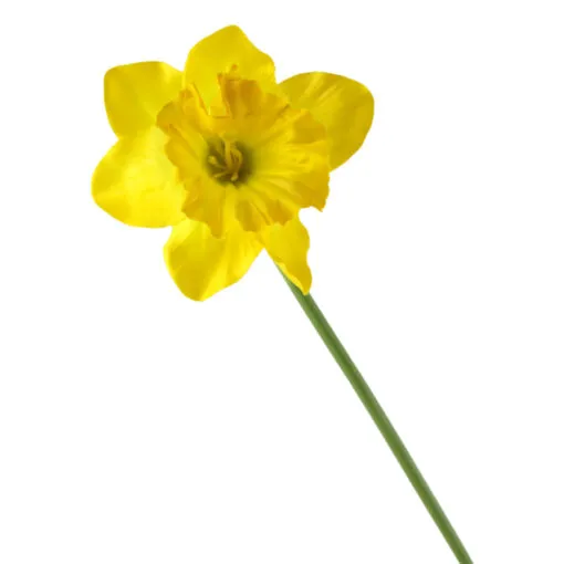 Floare artificiala - Narcisa Fantastica 50 CM