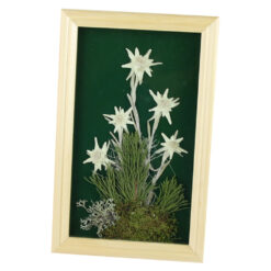 Tablou decorativ Floare de colt 15x24 CM