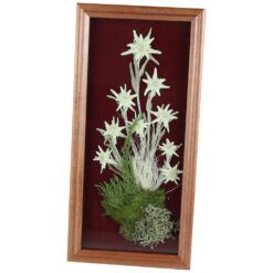 Tablou decorativ Floare de colt 16x32 CM