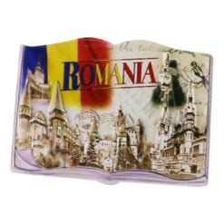 Magnet de frigider din rasina 7x6 CM