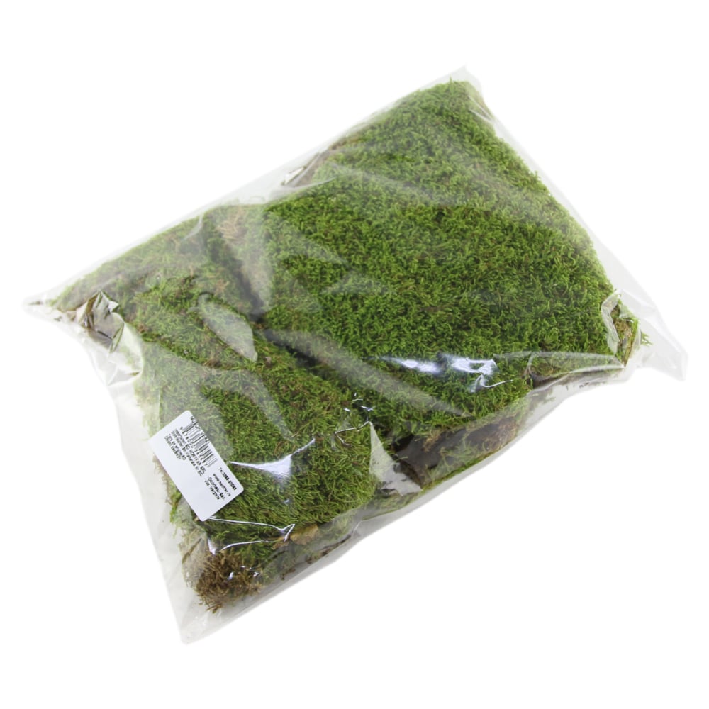 Muschi vegetal pentru aranjamente florale verde Muschi vegetal pentru aranjamente florale verde