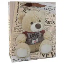 Punga cadou din hartie 26x32 CM - Teddy Bear