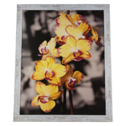 peisaj/floral/vintage 54x44 CM