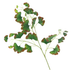 Creanga cu Frunze Ginko 56 CM