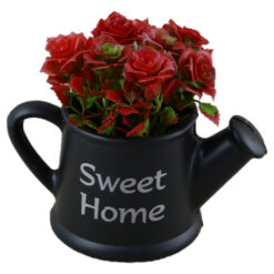 "Sweet Home"