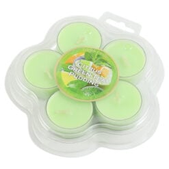 Set 5 lumanari parfumate Citrus Green Tea Pudding/Matcha Green Tea 3.5 CM