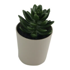 Planta artificiala Suculenta in ghiveci plastic 6x9 CM