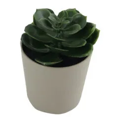 Planta artificiala Suculenta in ghiveci plastic 6x9 CM