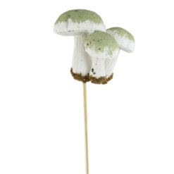 polifoam