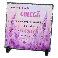 Placa ardezie "Cea mai buna Colega" 19x19 CM