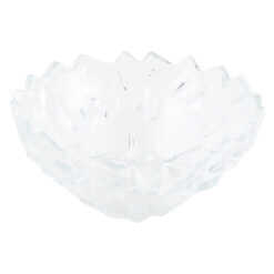 Bol din sticla transparenta 24x11 CM
