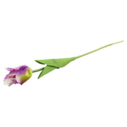 culori variate