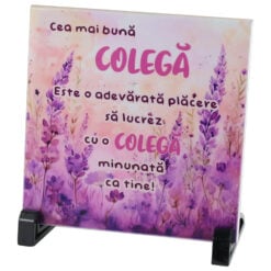 Placa decorativa "Cea mai buna Colega..." 15?15 CM