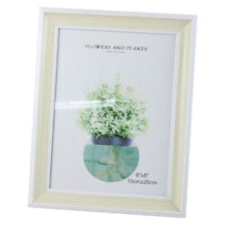 Plants