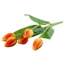 Buchet de lalele artificiale 5 fire