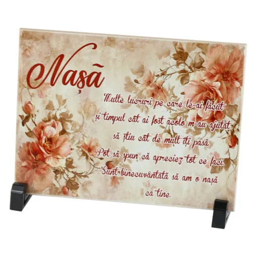 Placa decorativa "Nasa ...Multe lucruri" 20x15 CM