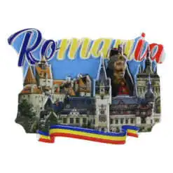Magnet de frigider din rasina 7x5 CM