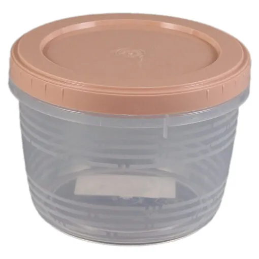 Cutie alimente din plastic 600 ml