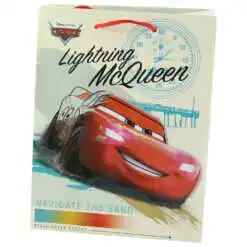 Punga cadou din hartie 18x22 CM