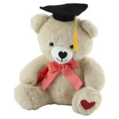 Ursulet din plus pentru absolvire 26 CM