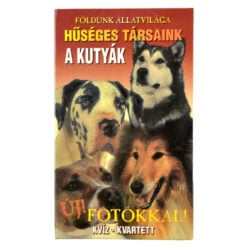 Carti de joc - Kutyak - Kviz