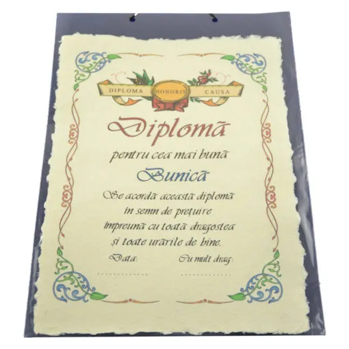 Diploma decor marime A4 diferite modele