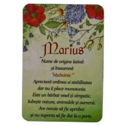 Magnet pentru frigider personalizat cu nume - Design inscriptionat