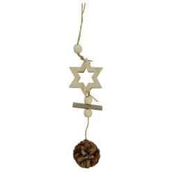 Decoratiune de Craciun pentru usa - Design cu steluta si con de brad - Natur