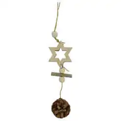 Decoratiune de Craciun pentru usa - Design cu steluta si con de brad - Natur