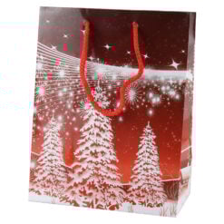 Punga cadou Craciun 18x23 CM - Brazi inzapeziti