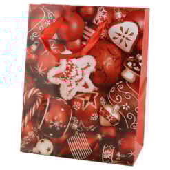 Punga cadou Craciun 18x23 CM - Decor rosii