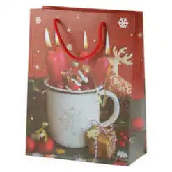 Punga cadou Craciun 18x24 CM