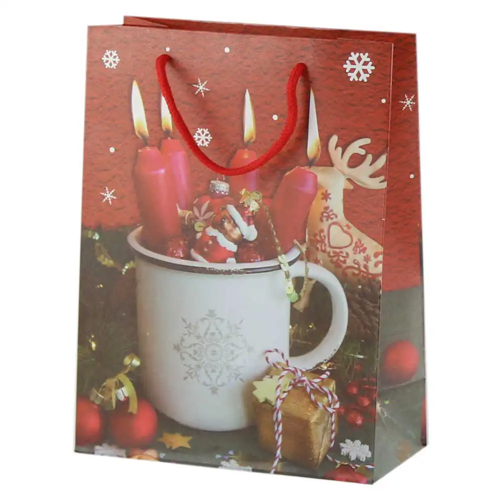 Punga cadou Craciun 18x24 CM Punga cadou Craciun 18x24 CM