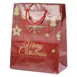 Punga cadou Craciun din hartie laminata 18 x 23 CM