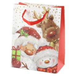 Punga cadou din hartie 18x23 CM