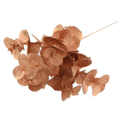 Pick creanga Ecucalipt 25 CM