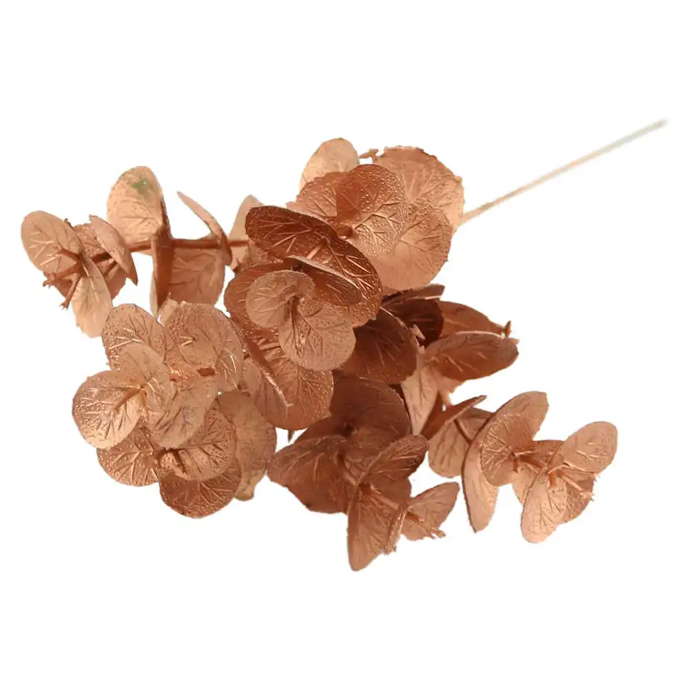 Pick creanga Ecucalipt 25 CM