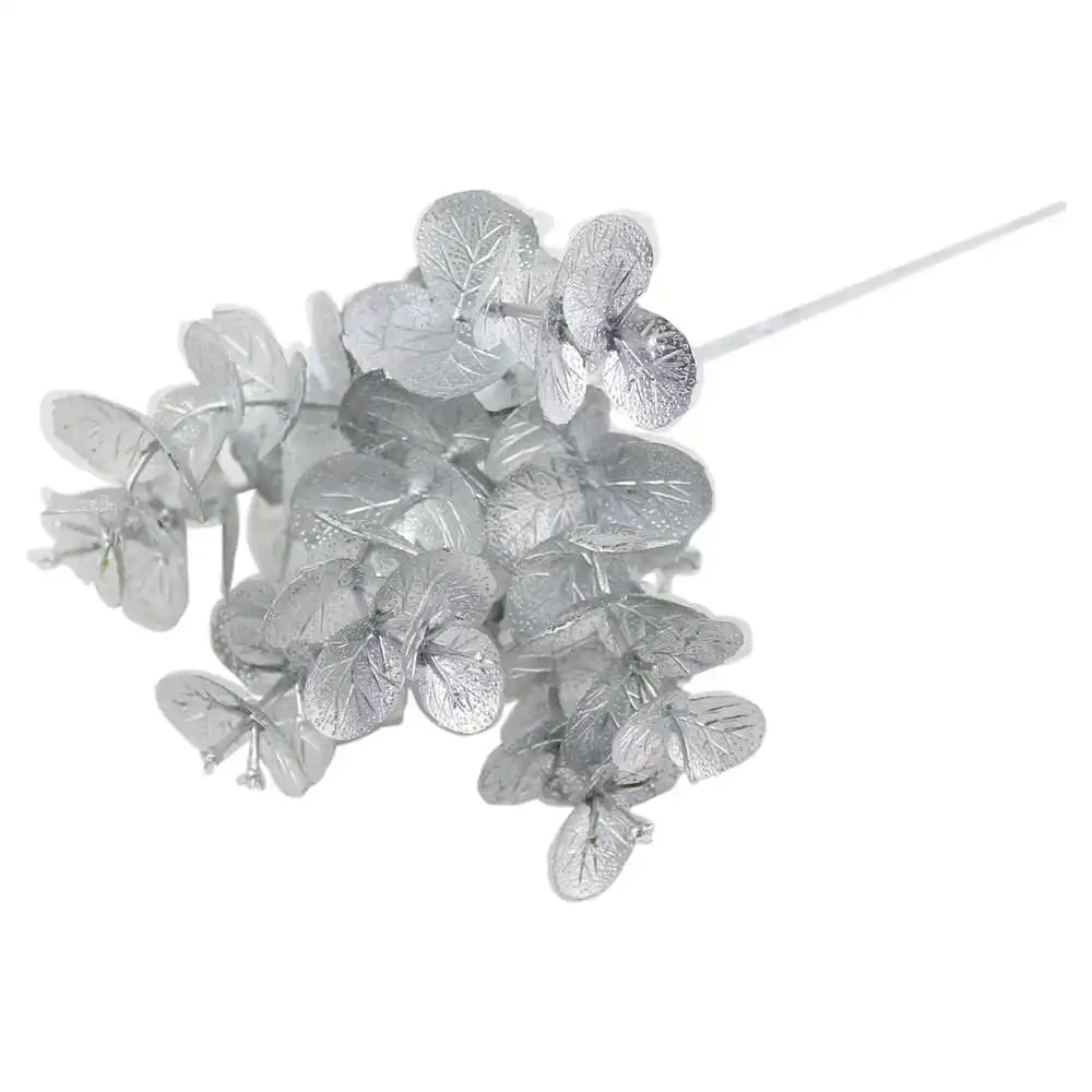 Pick creanga Ecucalipt 25 CM