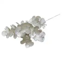 Pick creanga Ecucalipt 25 CM