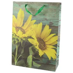 Punga cadou din hartie 31x40 CM