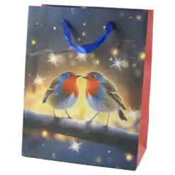 Punga cadou Craciun 18x23 CM