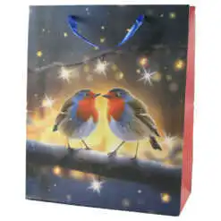 Punga cadou Craciun 26x32 CM