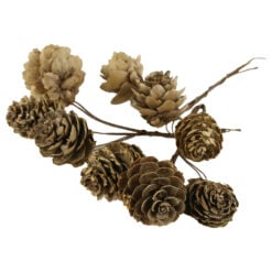 Pick decor Con de brad 12 CM