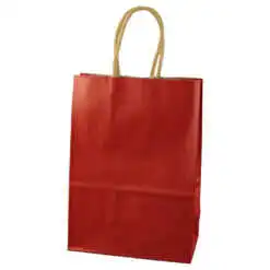 Punga cadou din hartie 15x21 CM