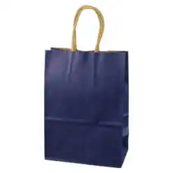 Punga cadou din hartie 15x21 CM