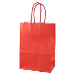 Punga cadou din hartie 15x21 CM